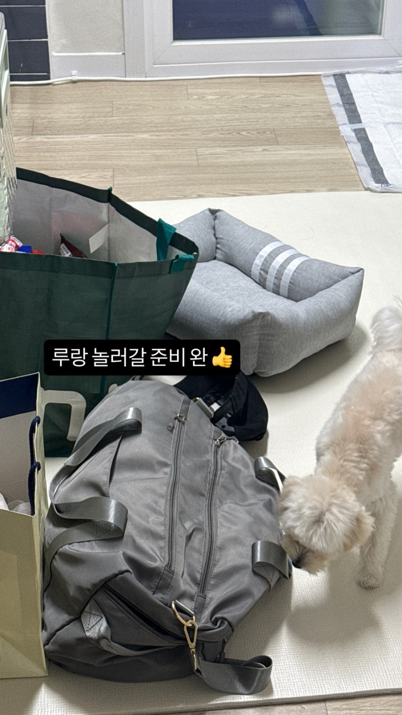 모모카라반 — 옹진군