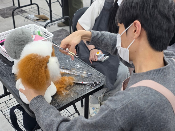  천안애견미용학원 전업주부도 가능한 애견미용숍창업