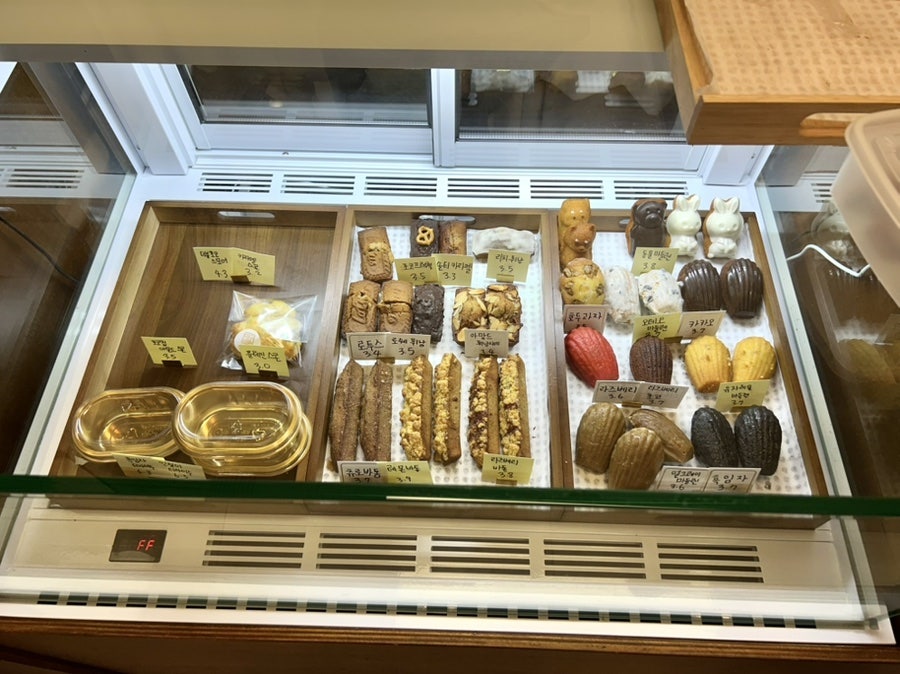앙구미 사진 6