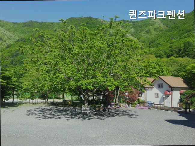 퀸즈파크펜션 사진 5