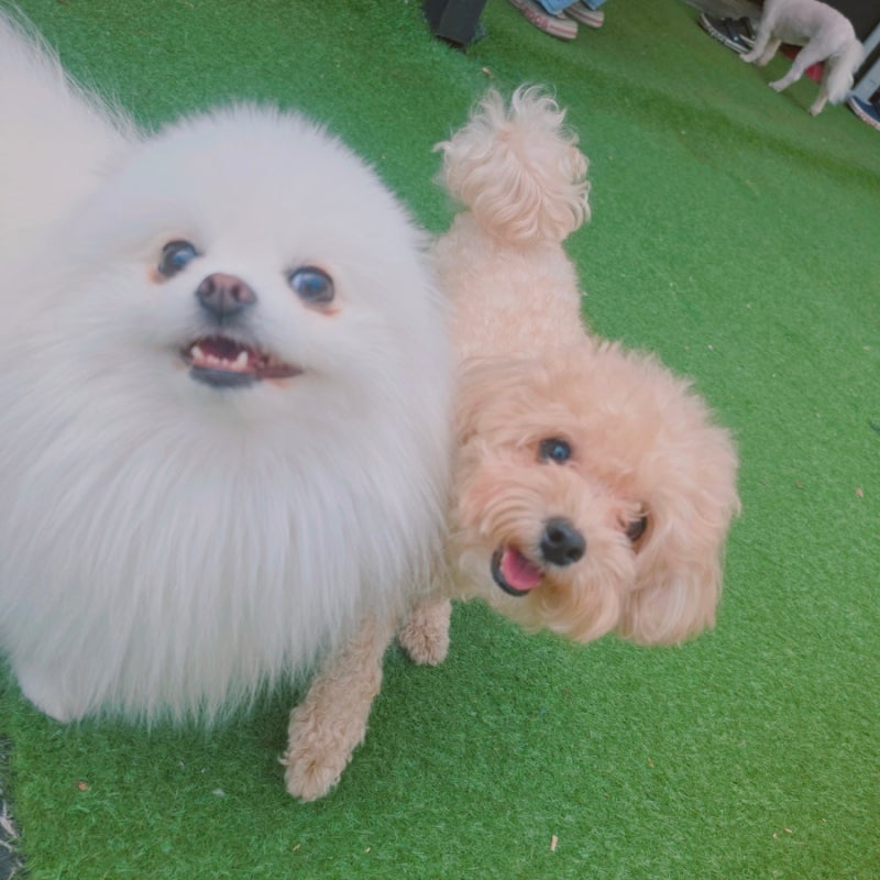사진 2