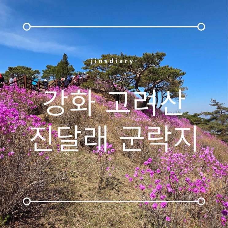  강화 고려산 진달래 군락지, 4월 주말 아이와 다녀온 후기