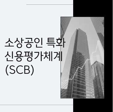 금융위가 발표한 <b>SCB</b> /<b>소상공인</b> 특화 신용평가체계