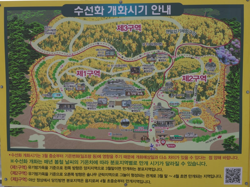 사진 2
