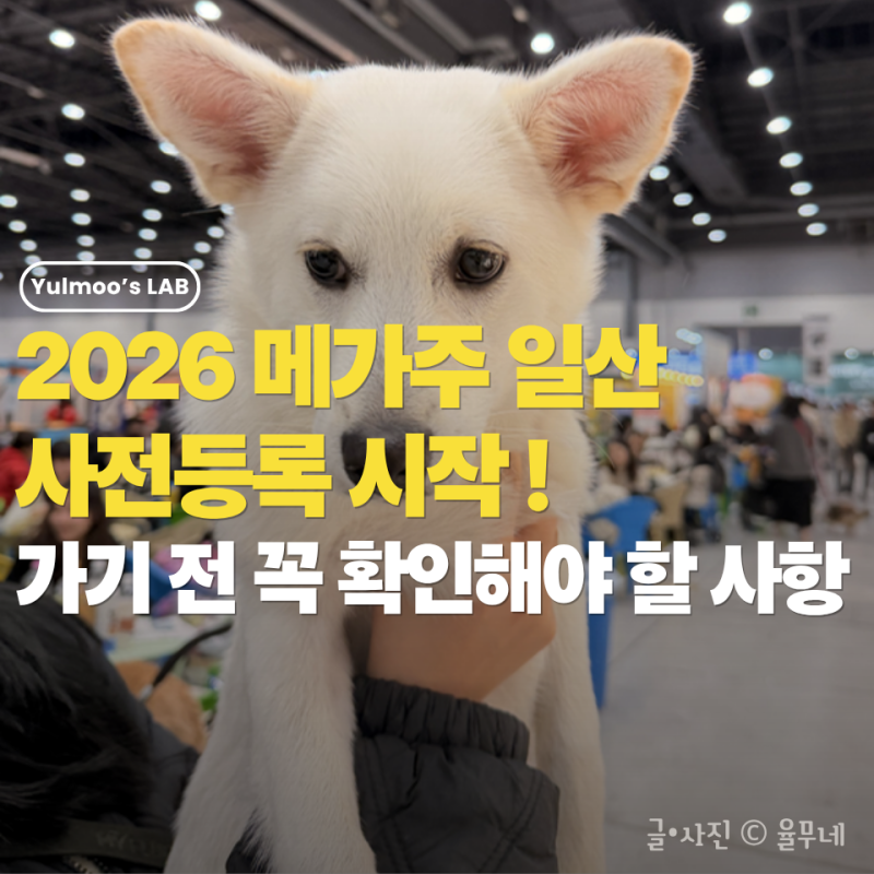 2026 메가주 일산 시즌 1 사전등록 오픈! 일정, 입장료, 브랜드 총정리