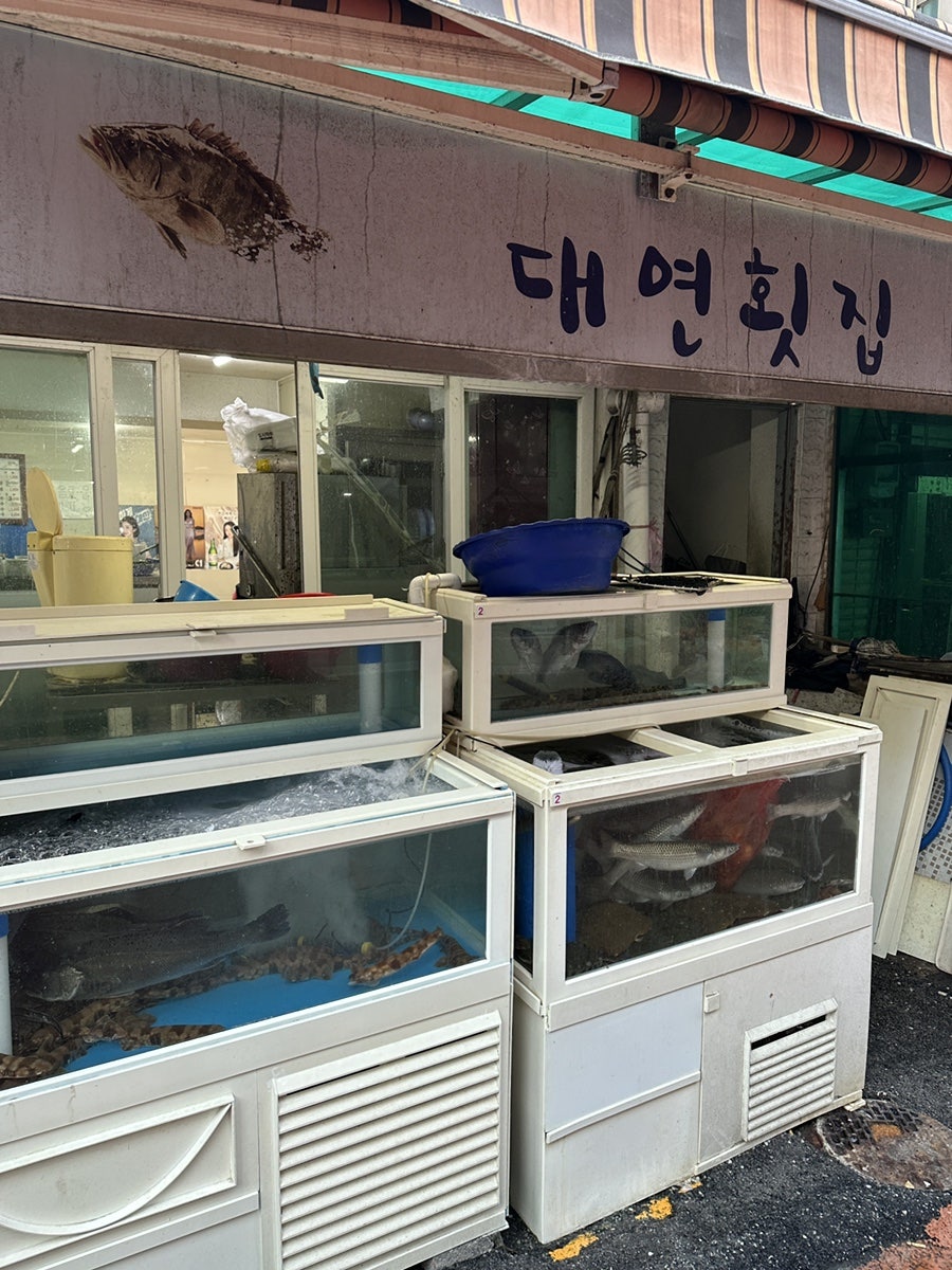 대연횟집 사진 3