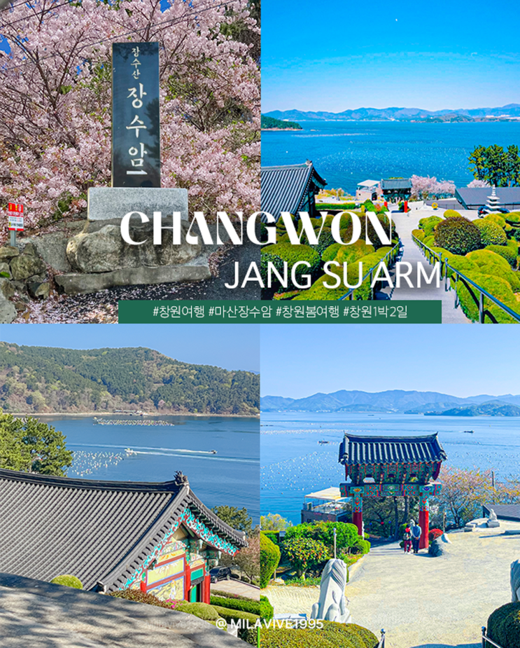  창원 여행 코스 1박2일 | 마산 장수암 벚꽃 해안도로 드라이브 + 주차 꿀팁
