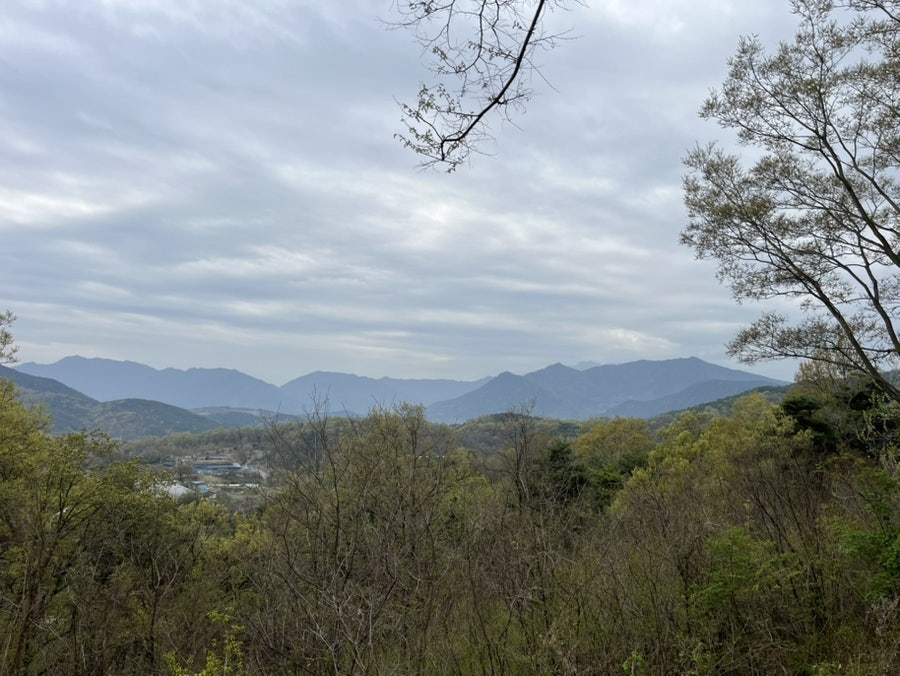 선들재 사진 6