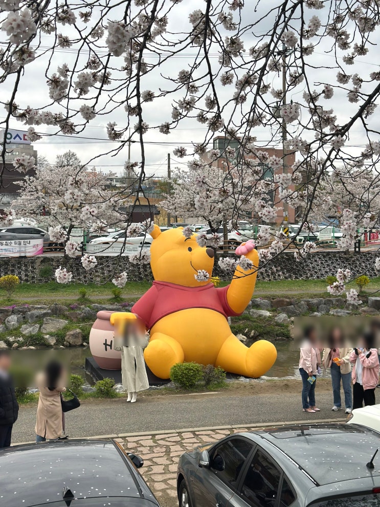 대전 가볼만한 곳 : 대전 소제동 곰돌이푸 팝업 푸크닉 후기