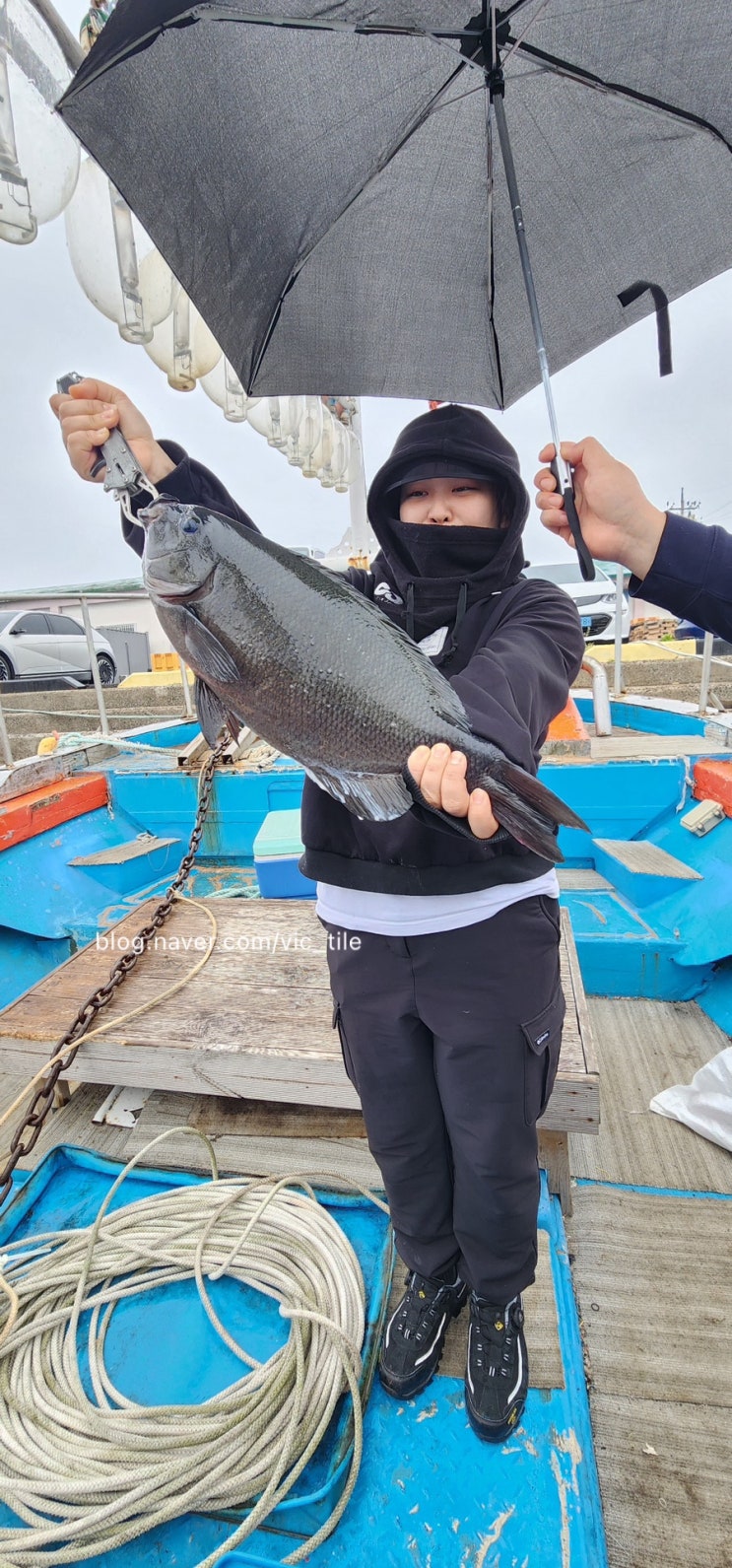  아내가 48cm 벵에돔을 잡은  그곳, 제주 올레호 선상낚시 조황이 터졌다