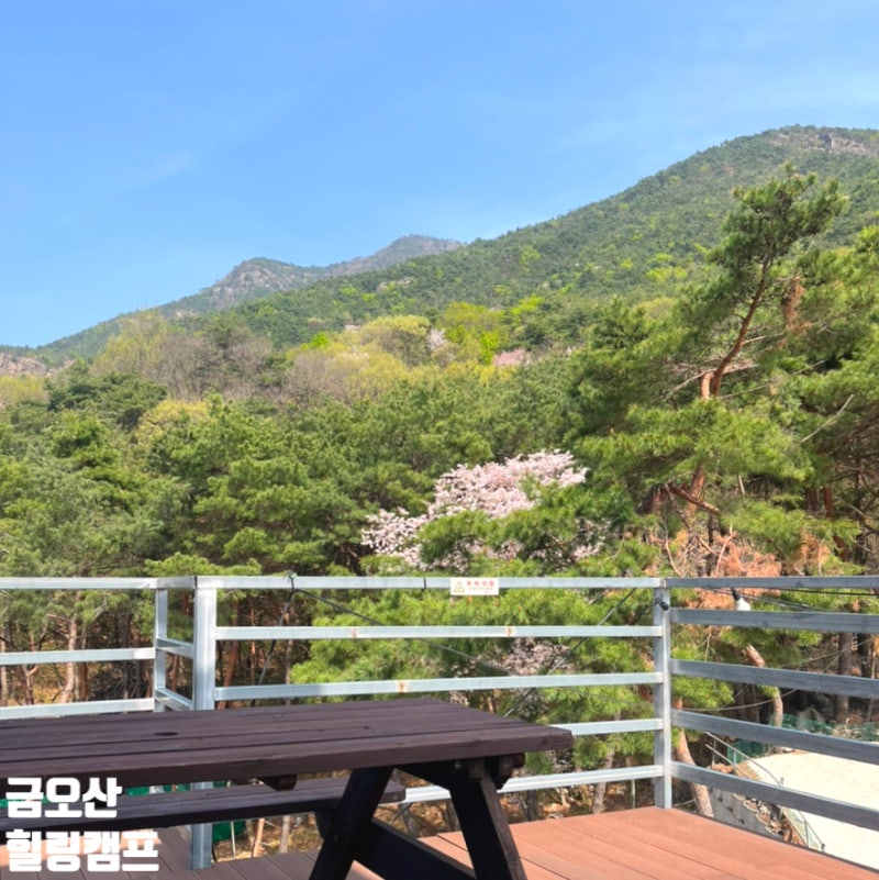 사진 3