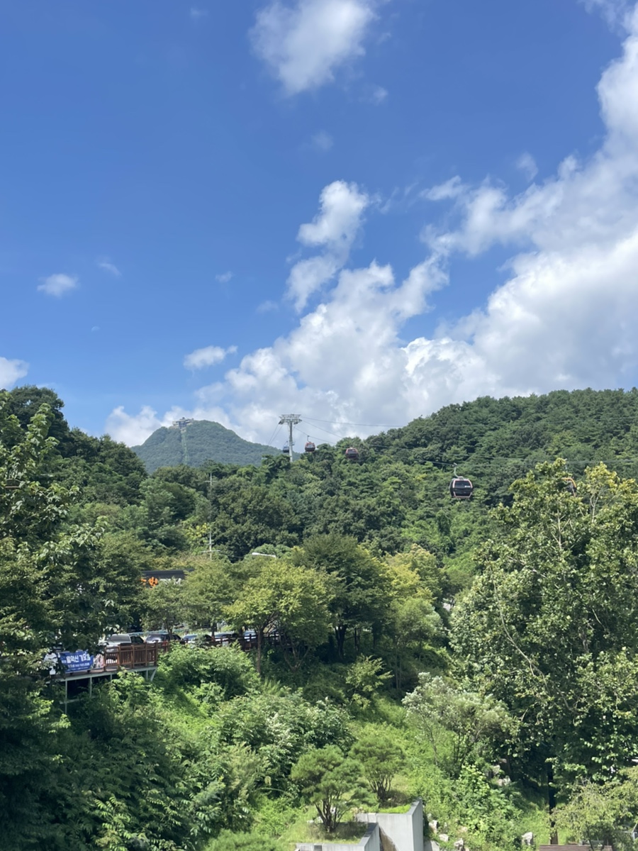 물태리빵집 사진 2