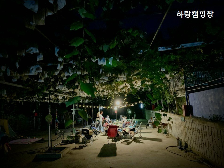 하랑캠핑장 사진 3