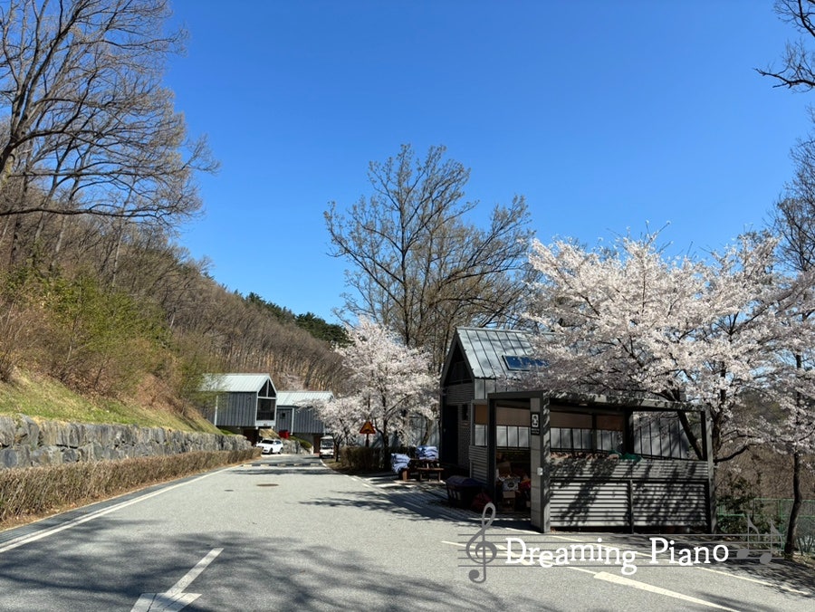 일락산 사진 6