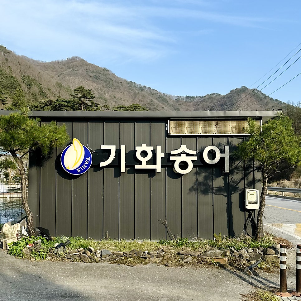 기화양어장 사진 2