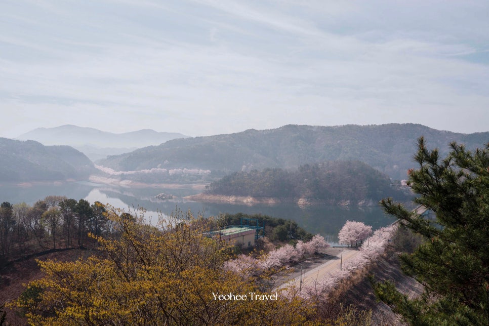 빵돌이네 사진 3