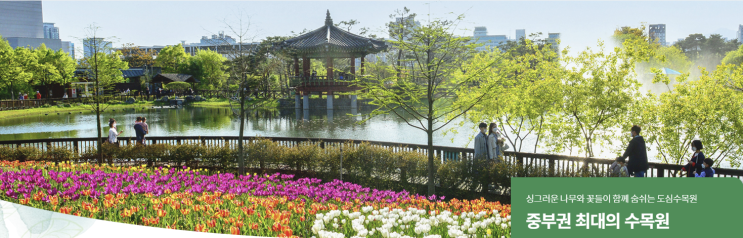  대전 한밭수목원 봄 산책 전 확인할 점, 주차·동선·명소 10선 정리
