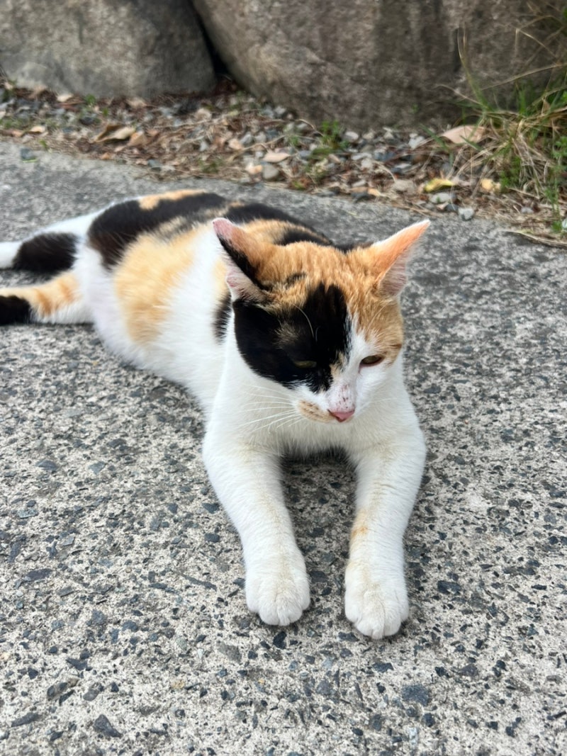 사진 2