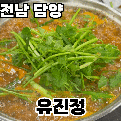  전남 담양 '유진정' ㅡ 미나리 가득 들어간 청둥오리전골을 파는 담양에서 제일 유명한 맛집 내돈내산 솔직후기