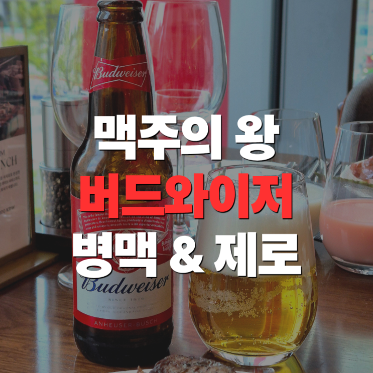  "맥주의 왕은 버드와이저" 버드와이저 병 오리지널부터 캔, 무알콜 제로 맛 가격 완벽 정리