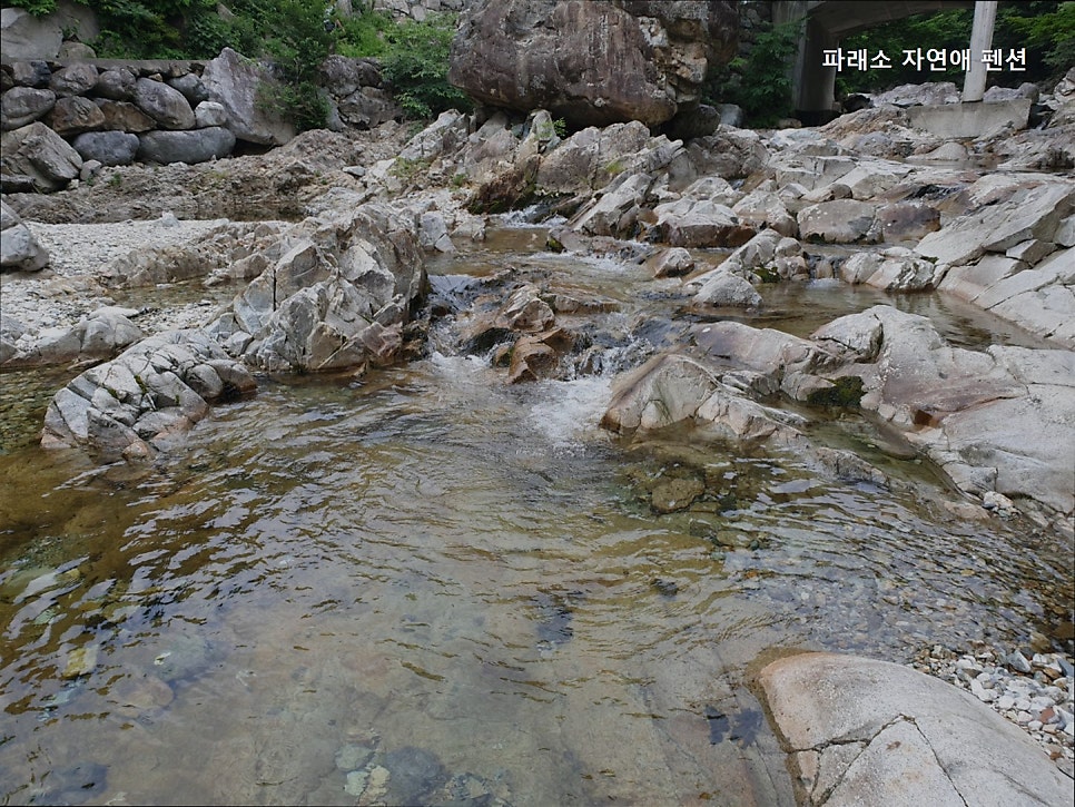 파래소자연애펜션 사진 4
