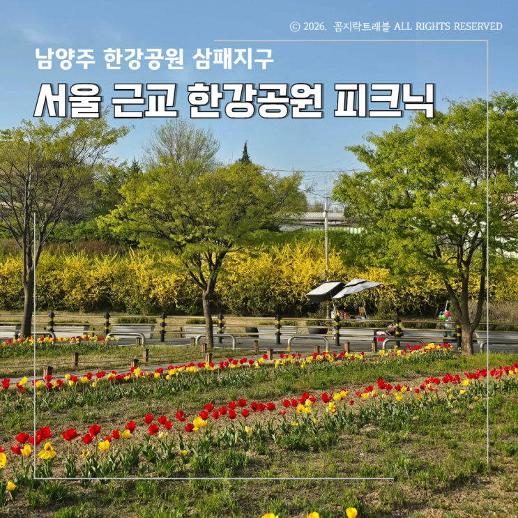  서울 근교 피크닉 남양주 한강공원 삼패지구, 튤립과 노을까지 완벽한 드라이브