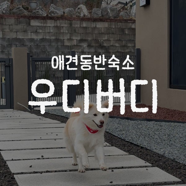 우디 버디