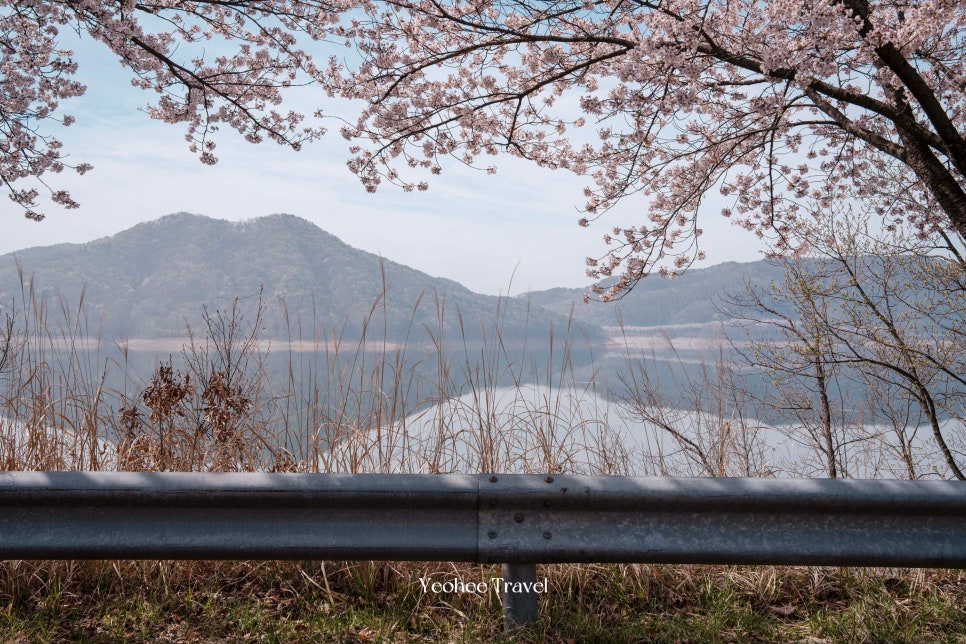 빵돌이네 사진 4