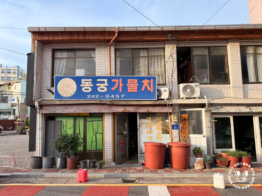 동궁가물치 사진 3