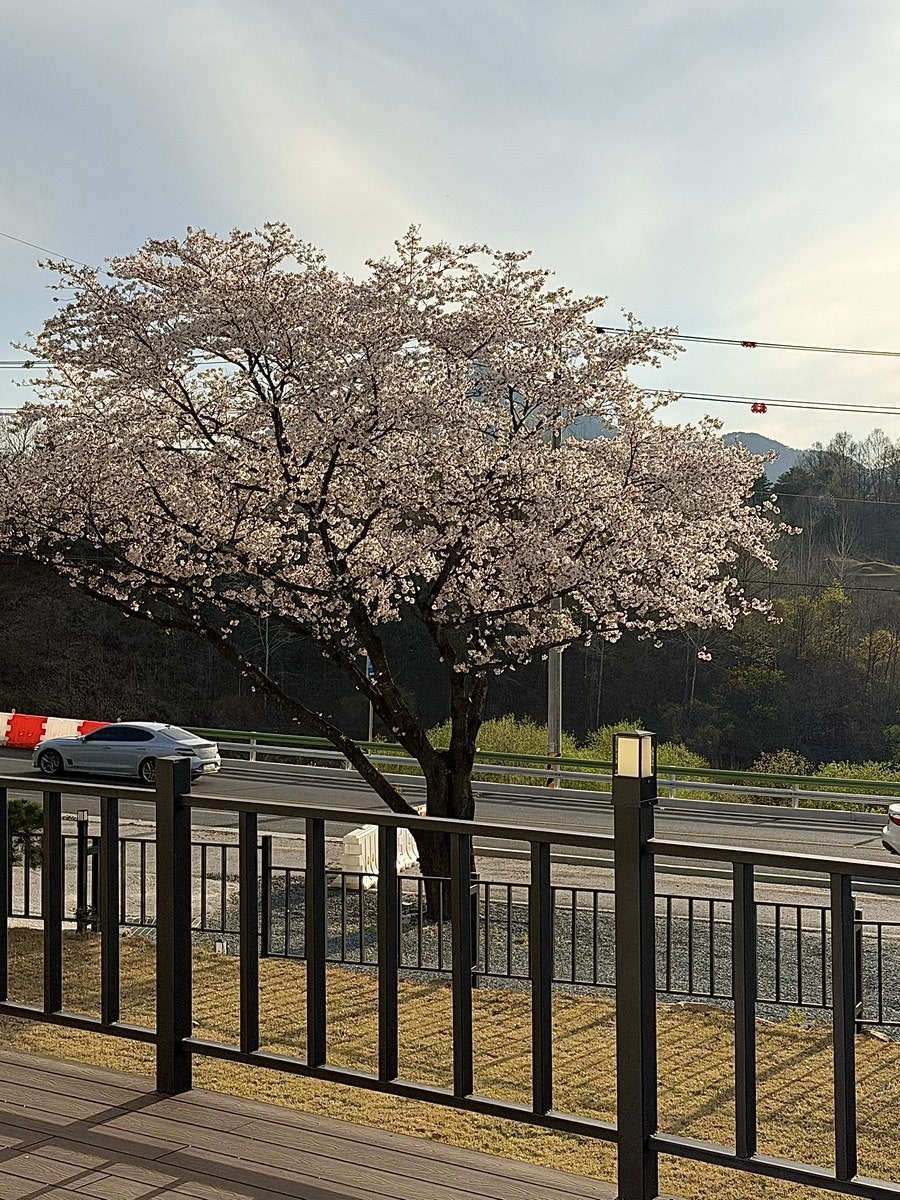 청풍이음펜션 사진 5