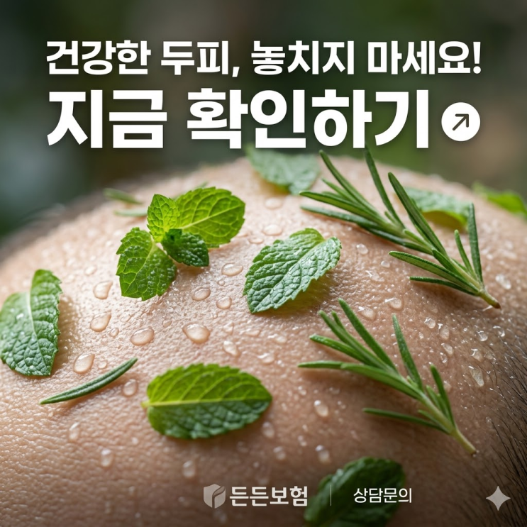 두피 가려움증 해결, 밤마다 긁다 피나는 지루성 두피? 병원 안 가고 샴푸 하나로 끝내는 종결 비법