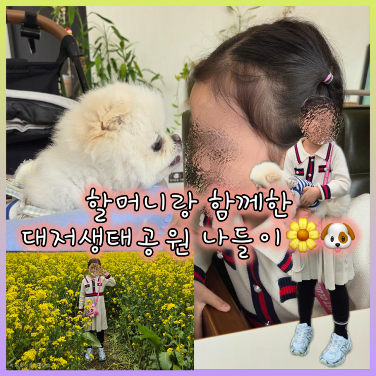  아이 맡기고 서울 간 날, 더 행복해진 아이의 하루 이야기 (feat. 대저생태공원 유채꽃 축제)