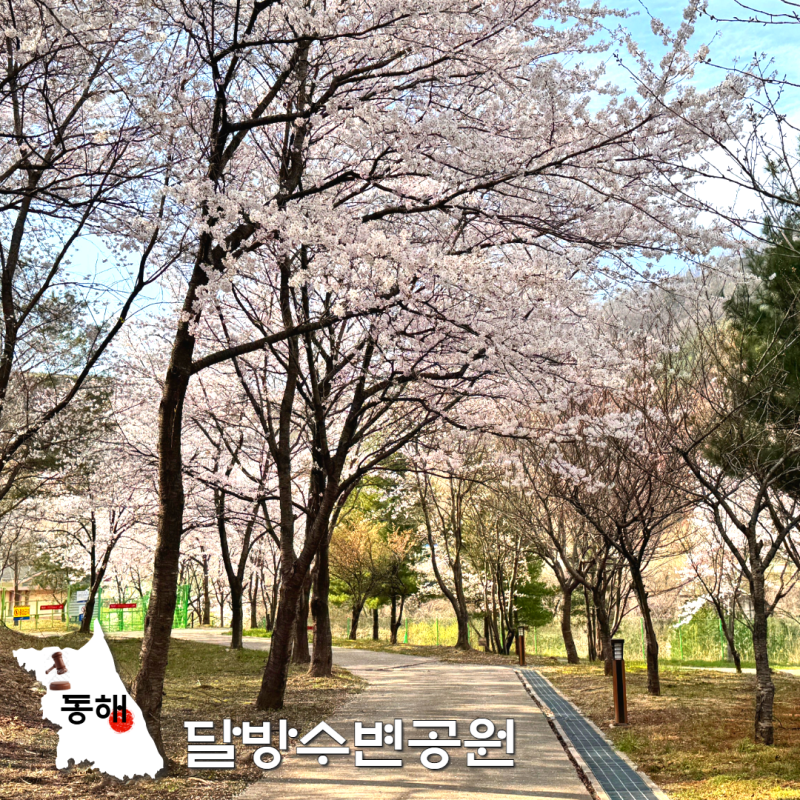 달방 카페