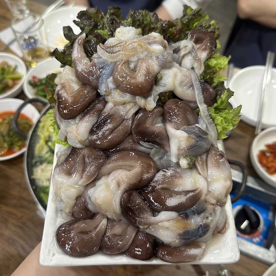 노다지품바 사진 1