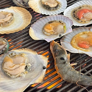 부산 광안리 조개구이 맛집 민락동 야장 가리비구이 추천 내돈내산 "미소집조개마당"