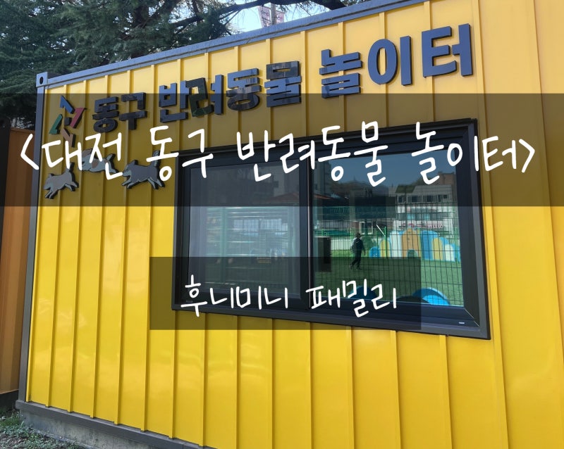 사진 4