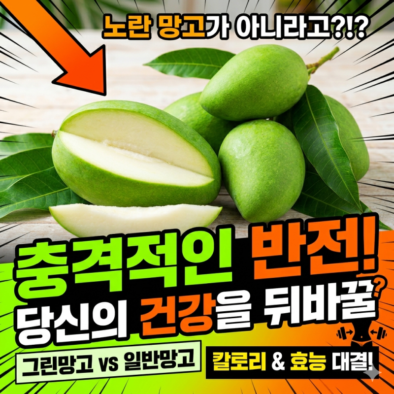 그린망고 효능과 먹는법 노란 망고보다 영양가 높은 이유
