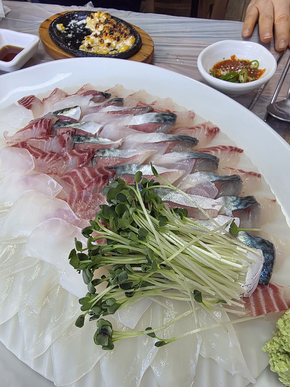 와글와글수산 사진 5