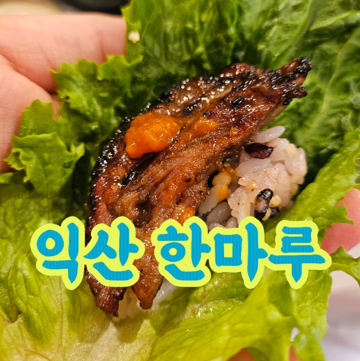  익산 마동 맛집 한마루, 현지인 추천 익산소갈비 찐맛집 후기