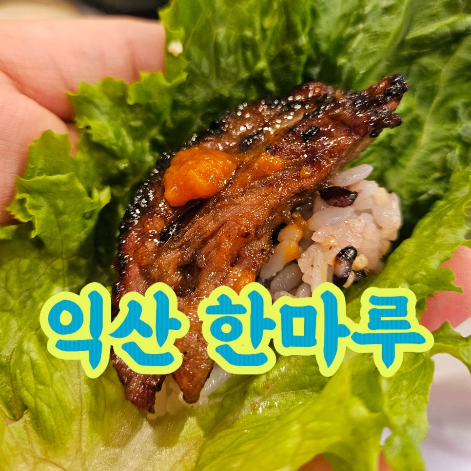 Hanmaru photo 1