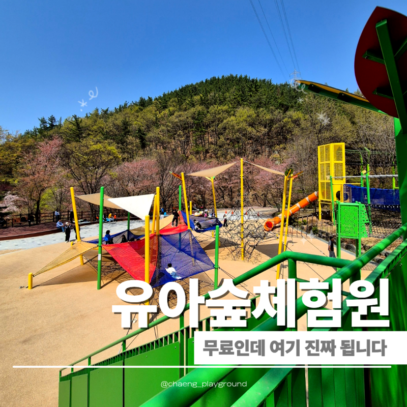 구미 숲놀이터 추천 천생산성 유아숲체험원 주차부터 놀거리까지 정리
