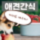 애견간식만들기, 예쁘고 안전한 간식을 배우는 방법
