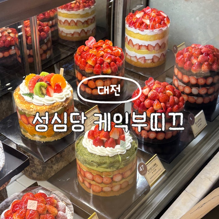  대전 성심당 케익부띠끄점 딸기설기 딸기시루 가격 주말 웨이팅 없이 구매 후기 팁