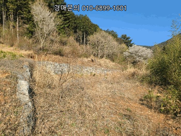  경상남도 거제시 둔덕면 상둔리 핵심 투자 가치 지목 변경 가능성 높은 대형 토지 경매, 4회 유찰로 시작가 대폭 하락한 숨겨진 보석! 2025타경21164