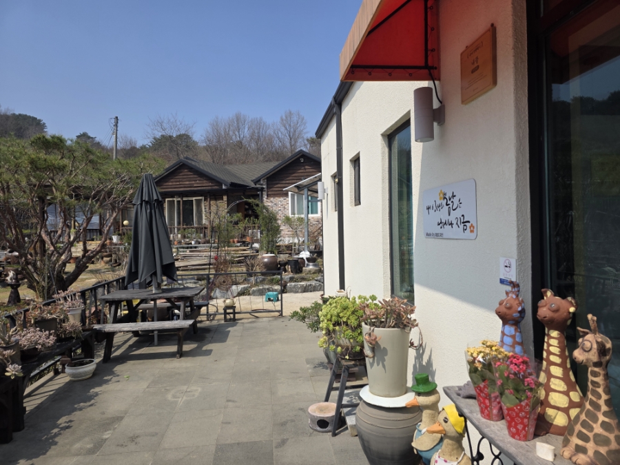 내뜨리네 사진 5