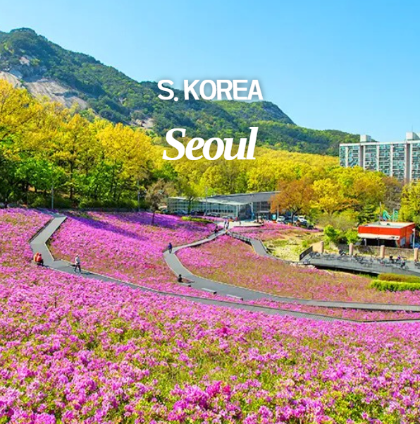  2026 불암산 철쭉 축제 일정 프로그램 대중교통 주차장 가는 법