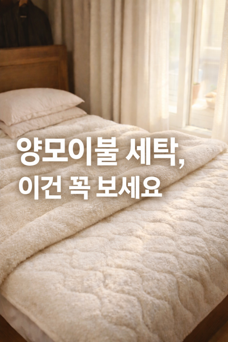 양모이불 세탁법 5분 정리｜크리스피바바 이서진이불 관리법