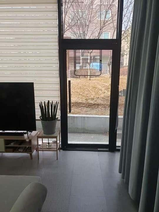 오십년 사진 4