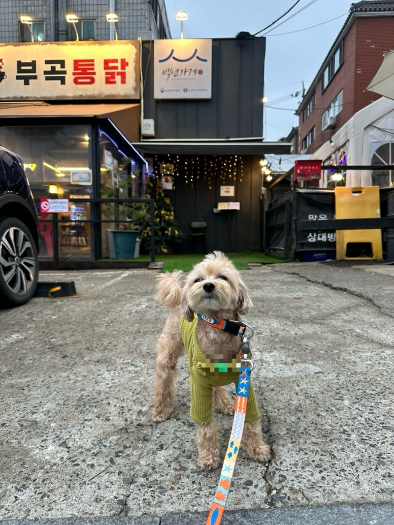 사진 8