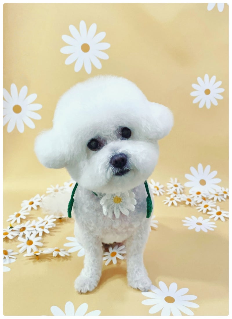 사진 7